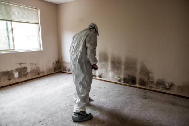 Best Mold Testing  in Columbus, NE